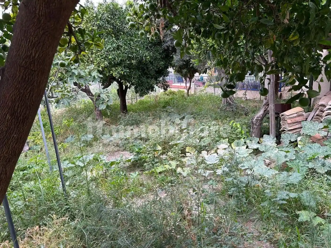 Villa unifamiliare Contrada Pozzo, Centro, Bovalino - foto 3