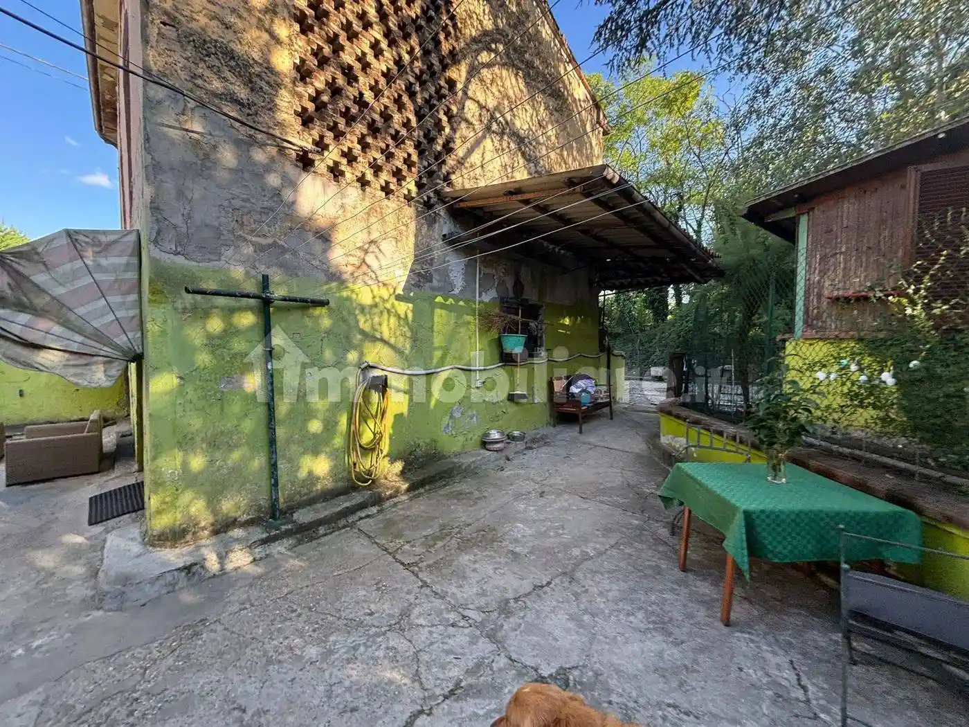 Casale Vigalone, 110, Roncole, Canneto Pavese - foto 4