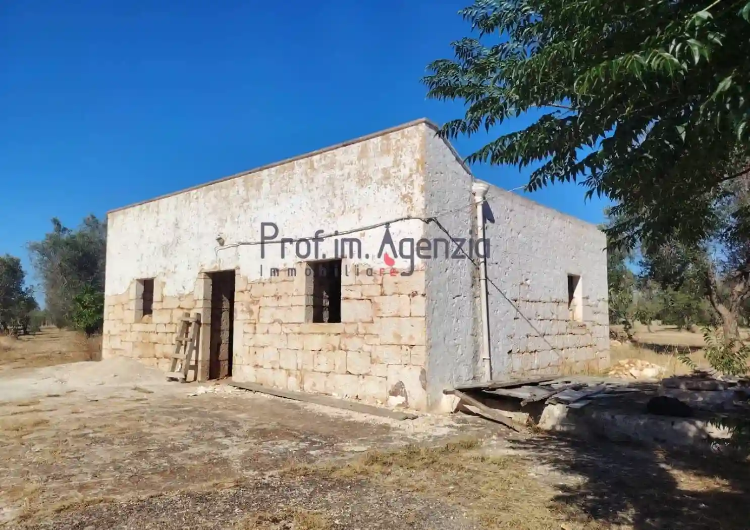 Rustico - Casale - foto 5