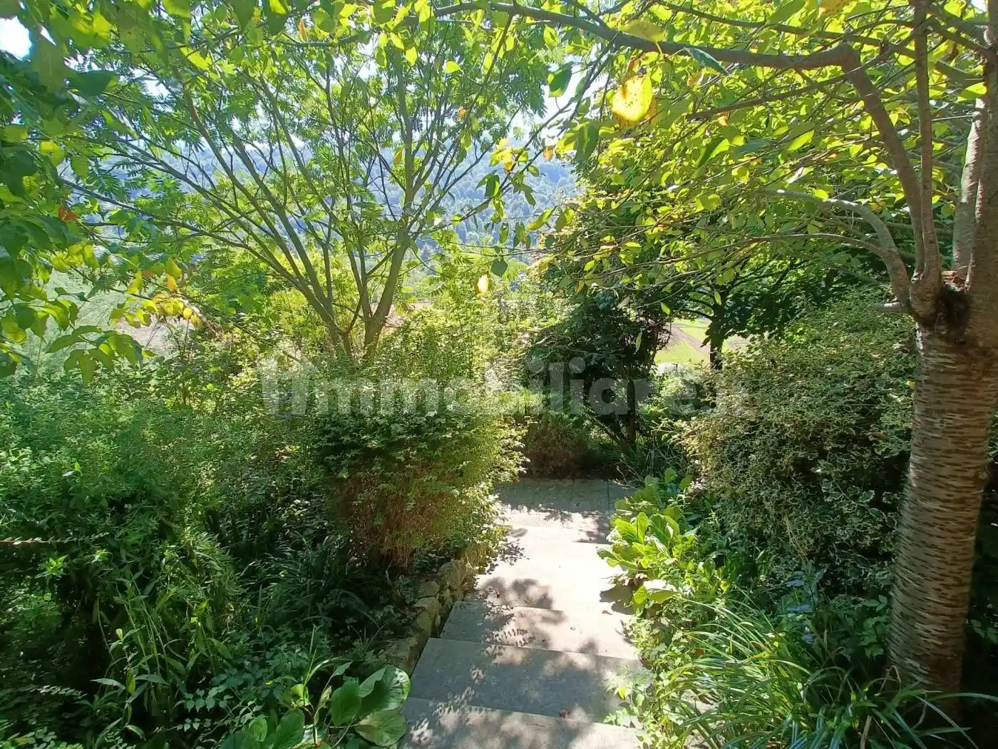 Villa unifamiliare, ottimo stato, 400 m², Selva, Zandobbio - foto 4