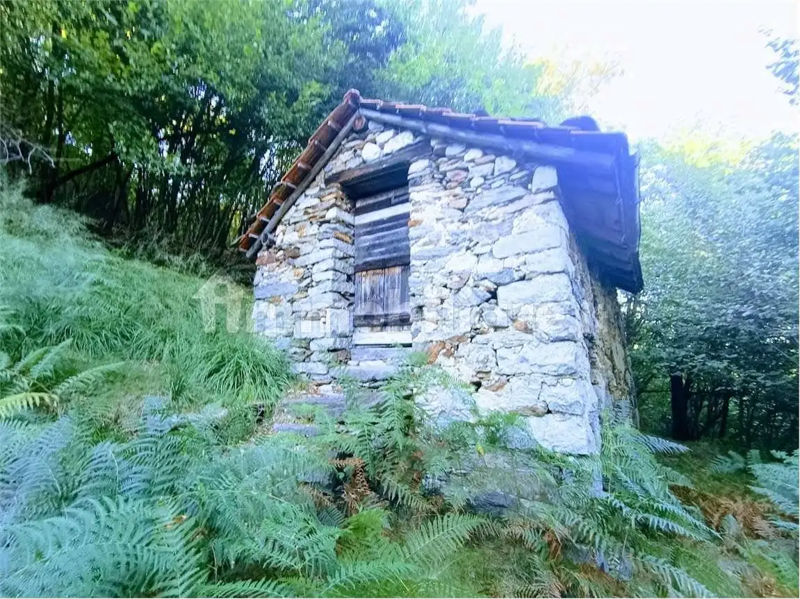 Baita Arzo, Casale Corte Cerro - foto 2