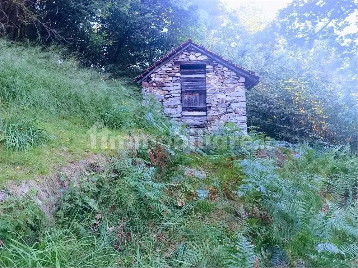 Baita Arzo, Casale Corte Cerro - foto 3