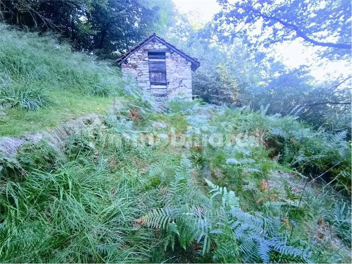 Baita Arzo, Casale Corte Cerro - foto 4