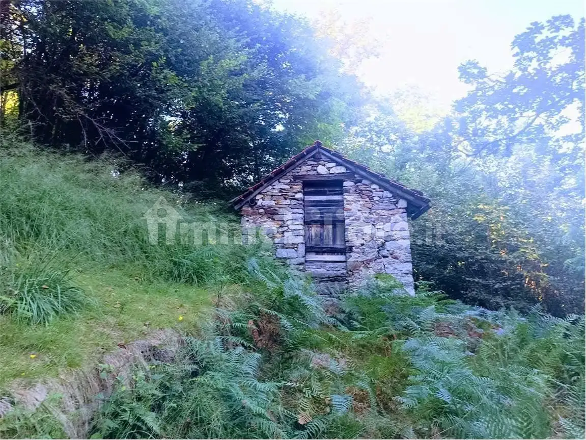 Baita Arzo, Casale Corte Cerro - foto 5