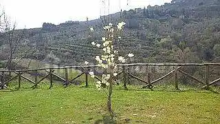 Appartamento via dei Quattro Cipressi, Ponte Pattoli - Cordigliano, Perugia - foto 5