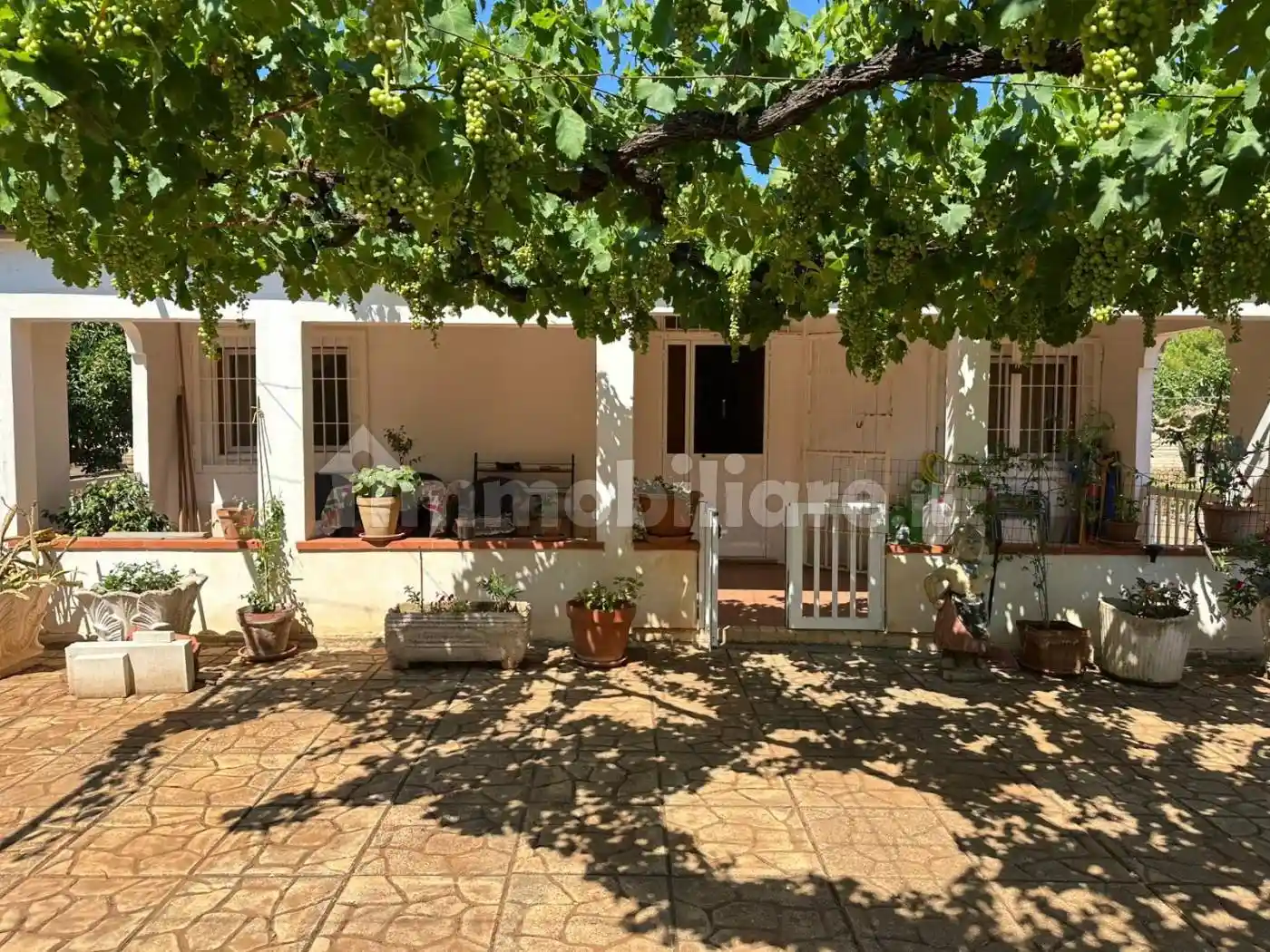 Villa unifamiliare Strada per Serranova, Montenegro, Brindisi - foto 2