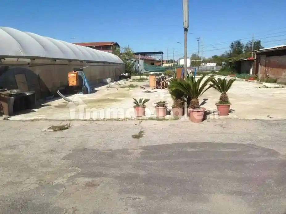 Palazzo - Stabile - foto 4