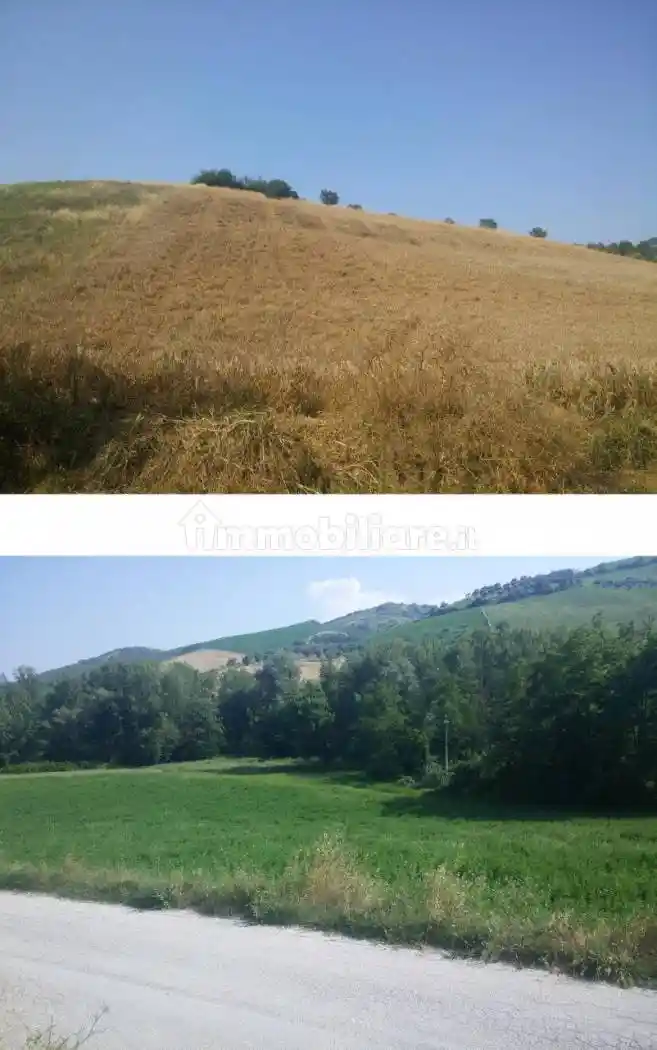 Rustico - casale all'asta Contrada Casale Piomba - 64032 Atri, Atri - foto 4