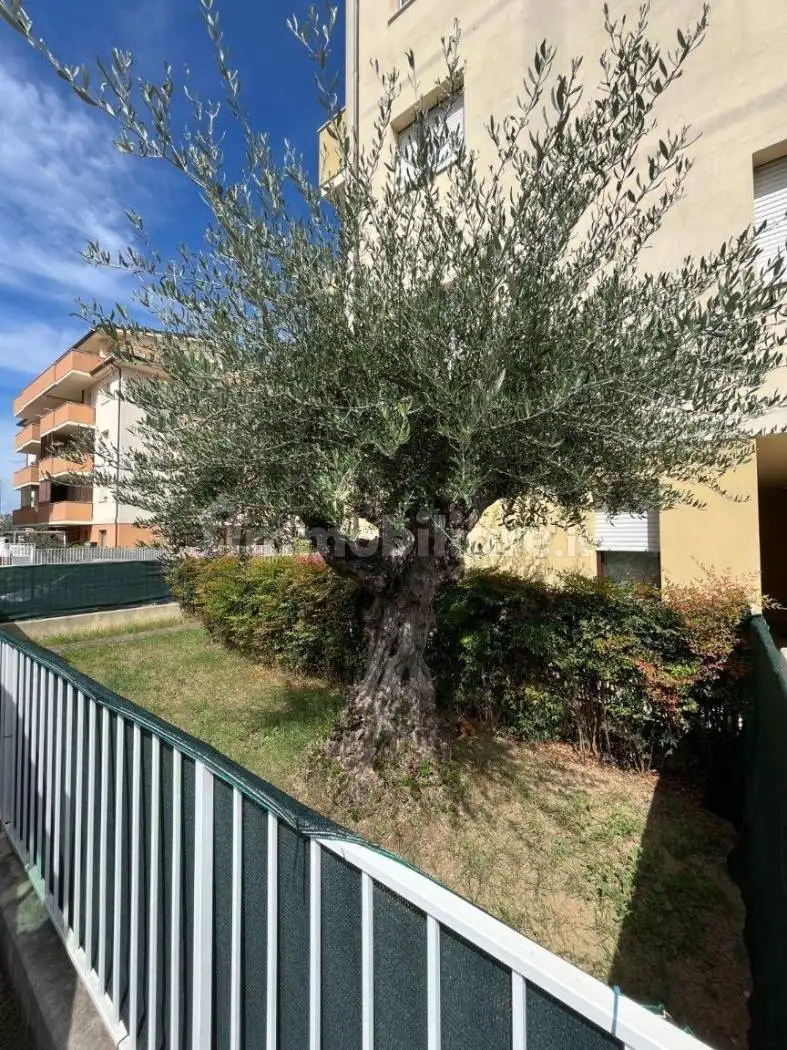 Palazzo - Edificio in vendita a Rimini