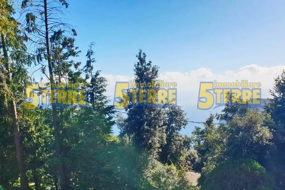 Rustico - Casale in vendita a Monterosso al Mare