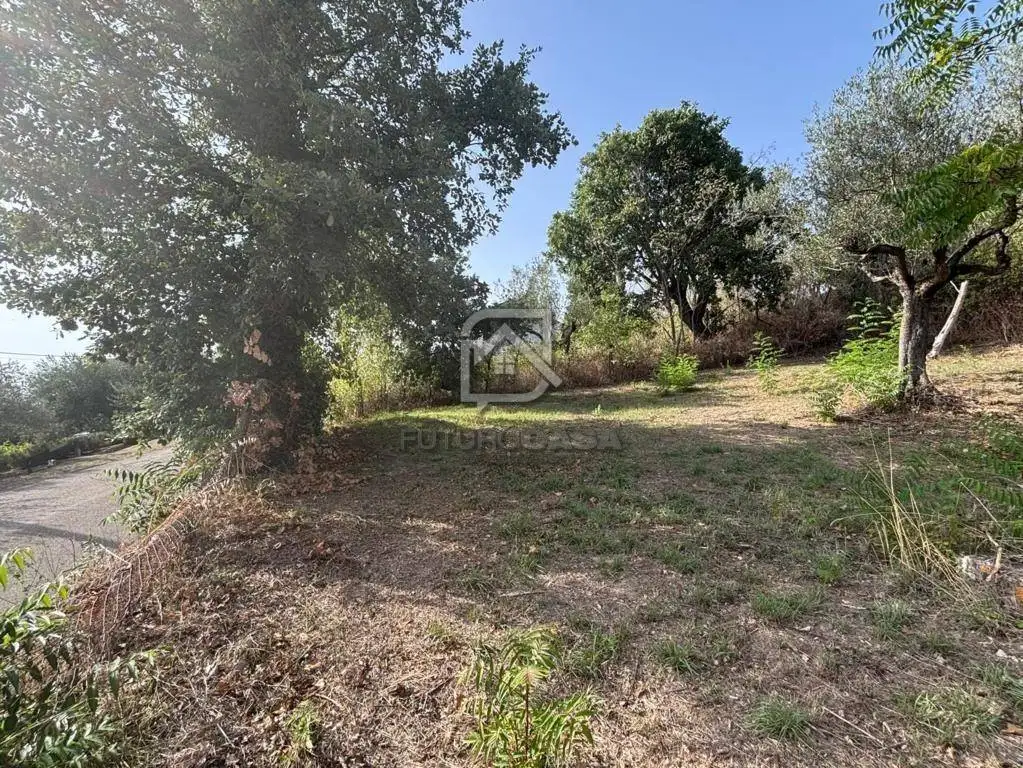 Terratetto unifamiliare Contrada Calvano, Apice - foto 5