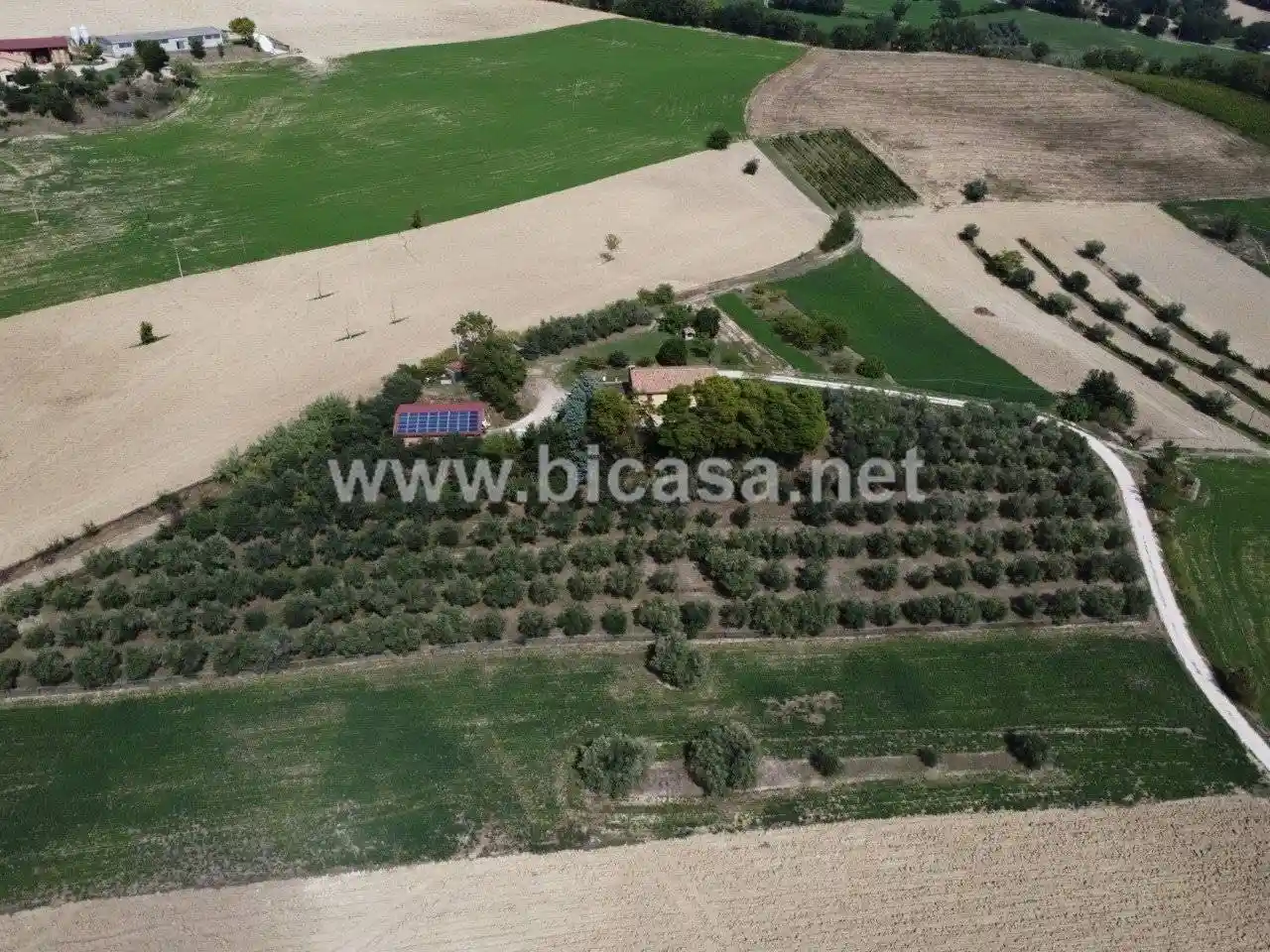 Rustico - Casale - foto 5