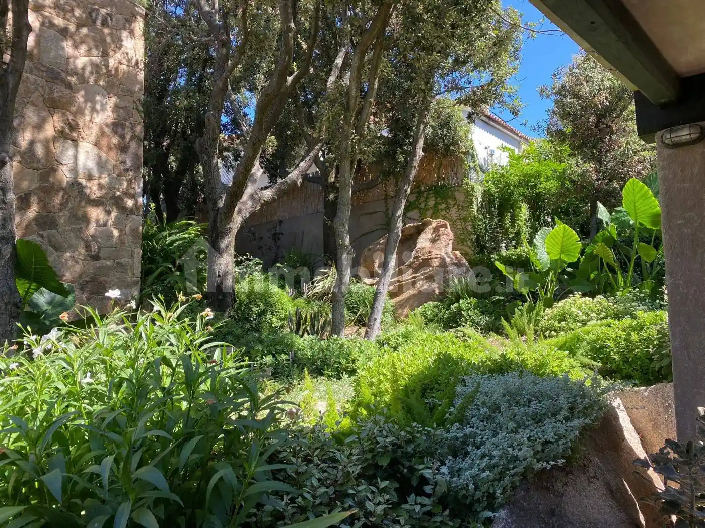 Villa unifamiliare via Treviso, San Pantaleo, Olbia - foto 3