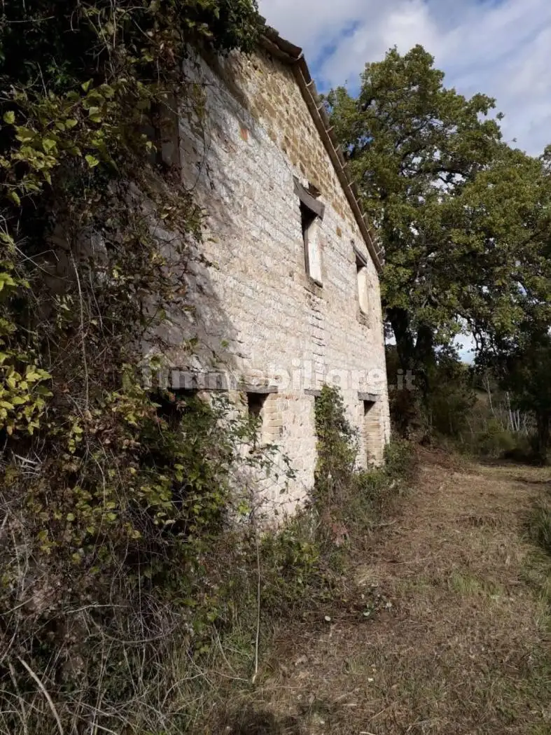 Casale frazione Prosano 10, Arcevia - foto 3