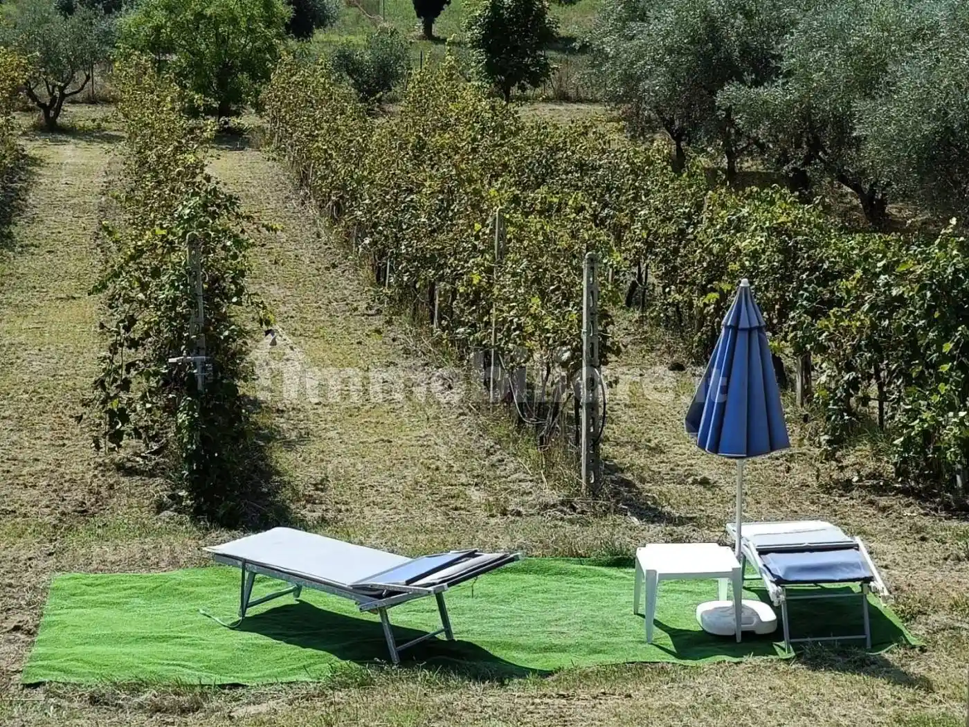 Villa unifamiliare, ottimo stato, 192 m², Tabano - Montecappone, Jesi - foto 4