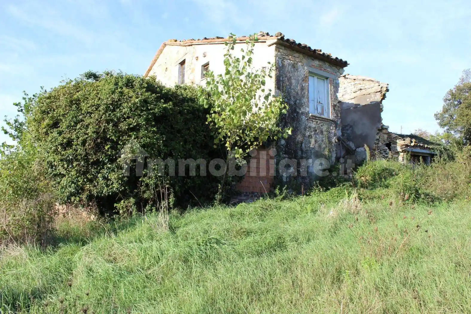 Palazzo - Edificio - foto 5