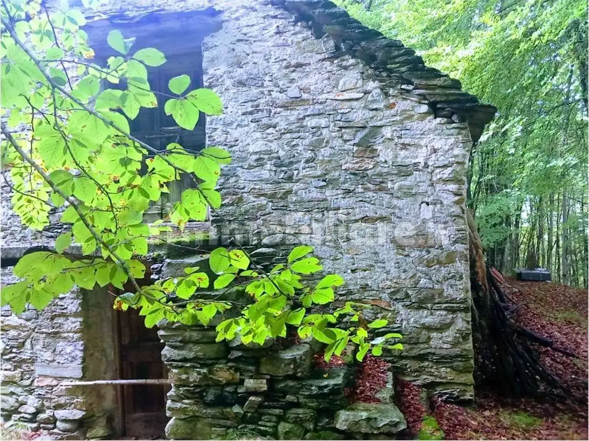 Rustico - Casale in vendita a Villette