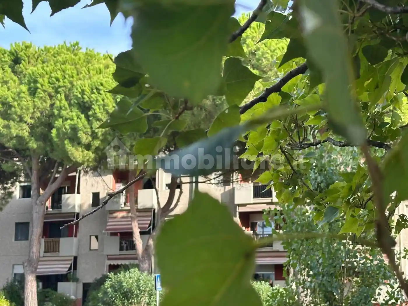 Appartamento in vendita a Rosignano Marittimo