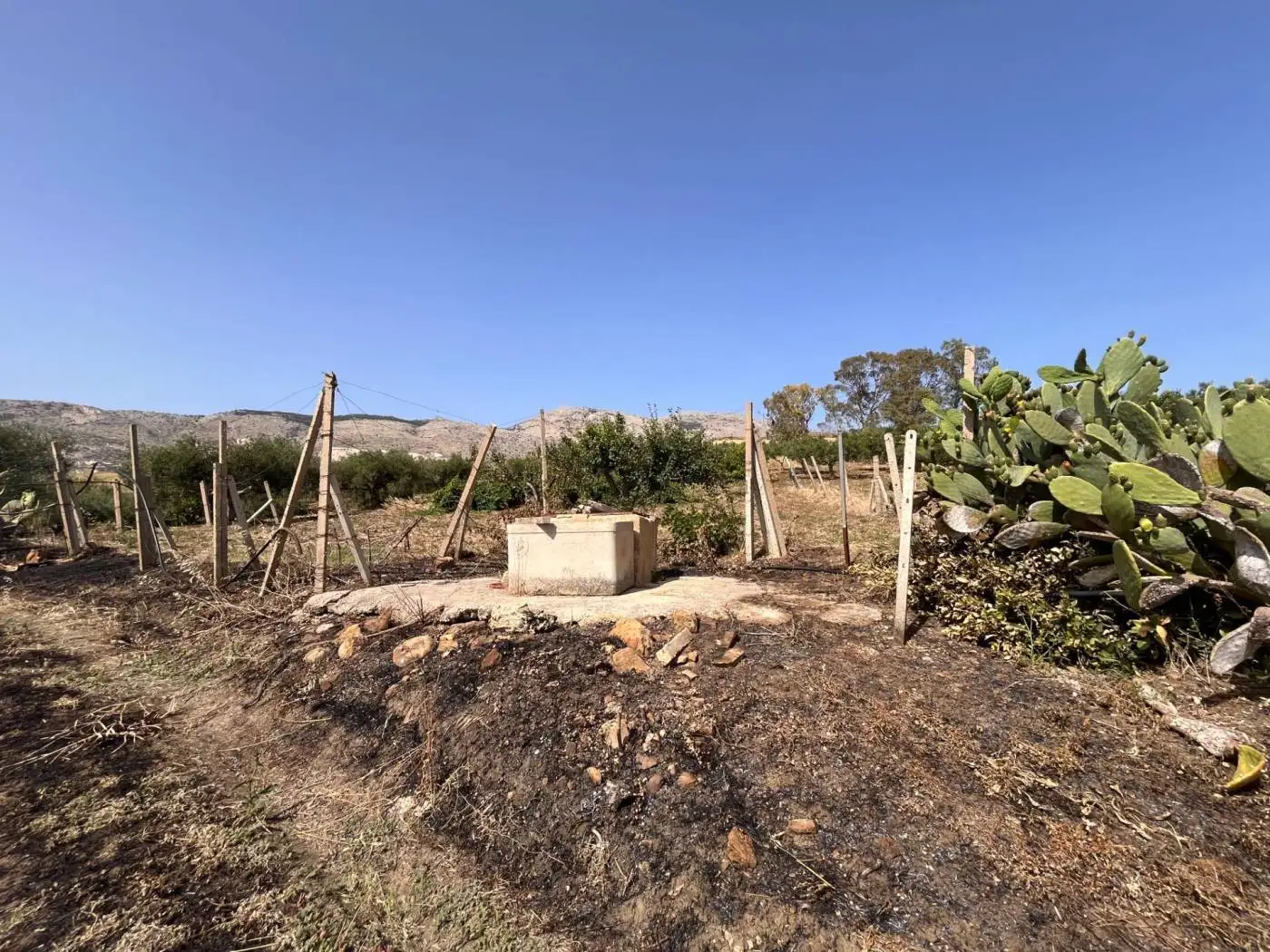 Rustico Blandano, Buseto Palizzolo - foto 5