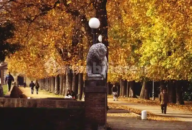 Palazzo - Edificio - foto 2