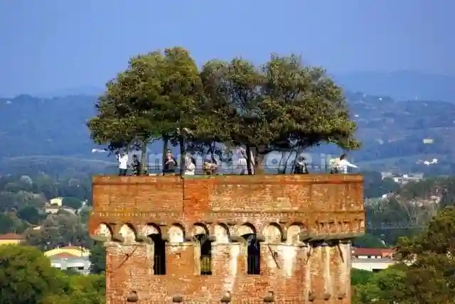 Palazzo - Edificio - foto 5