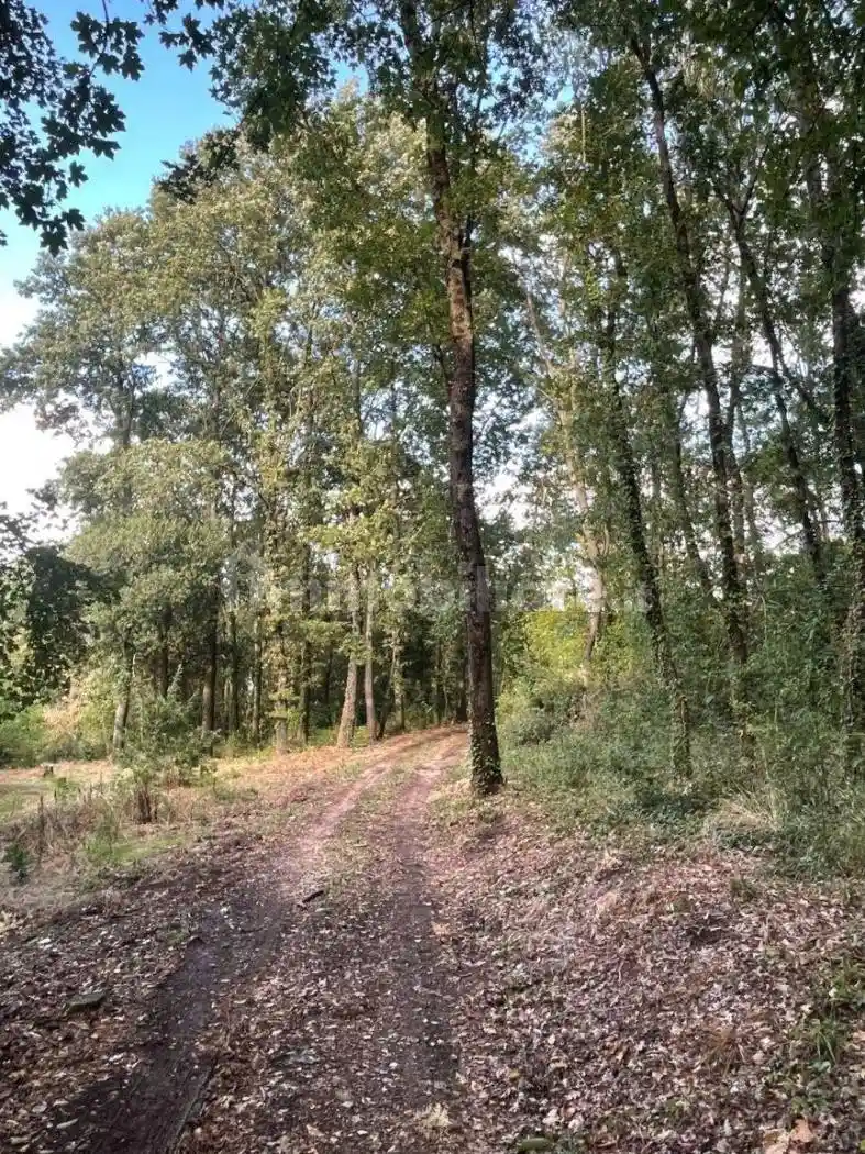 Masseria via Casola, Casertavecchia - Casola, Caserta - foto 2