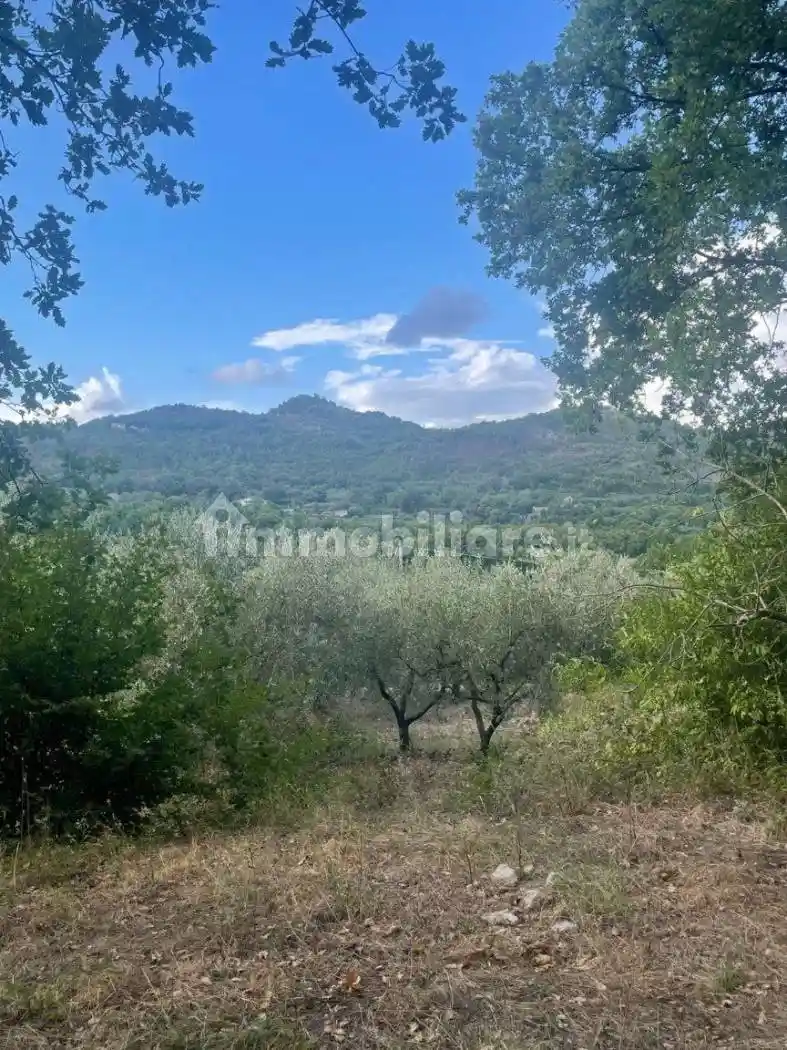 Masseria via Casola, Casertavecchia - Casola, Caserta - foto 5