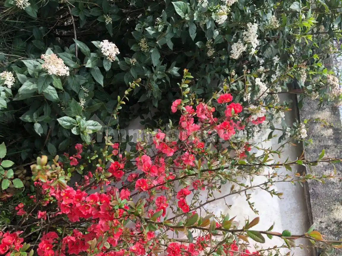 Terratetto unifamiliare via Felice Cavallotti 5, Bergamasco - foto 2