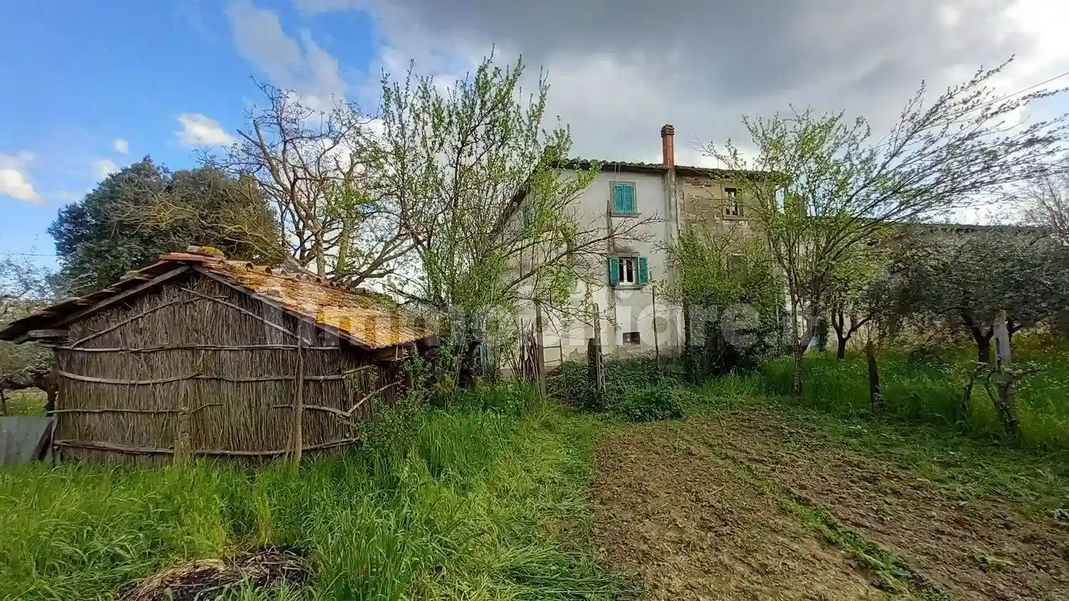 Rustico - Casale - foto 5