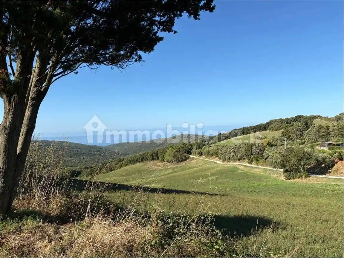 Appartamento in vendita a Rosignano Marittimo