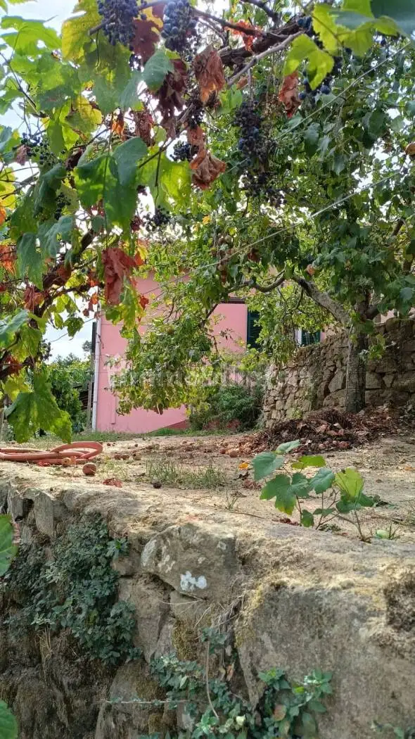 Villa unifamiliare Strada Provinciale Sud No Number, Ceriana - foto 3