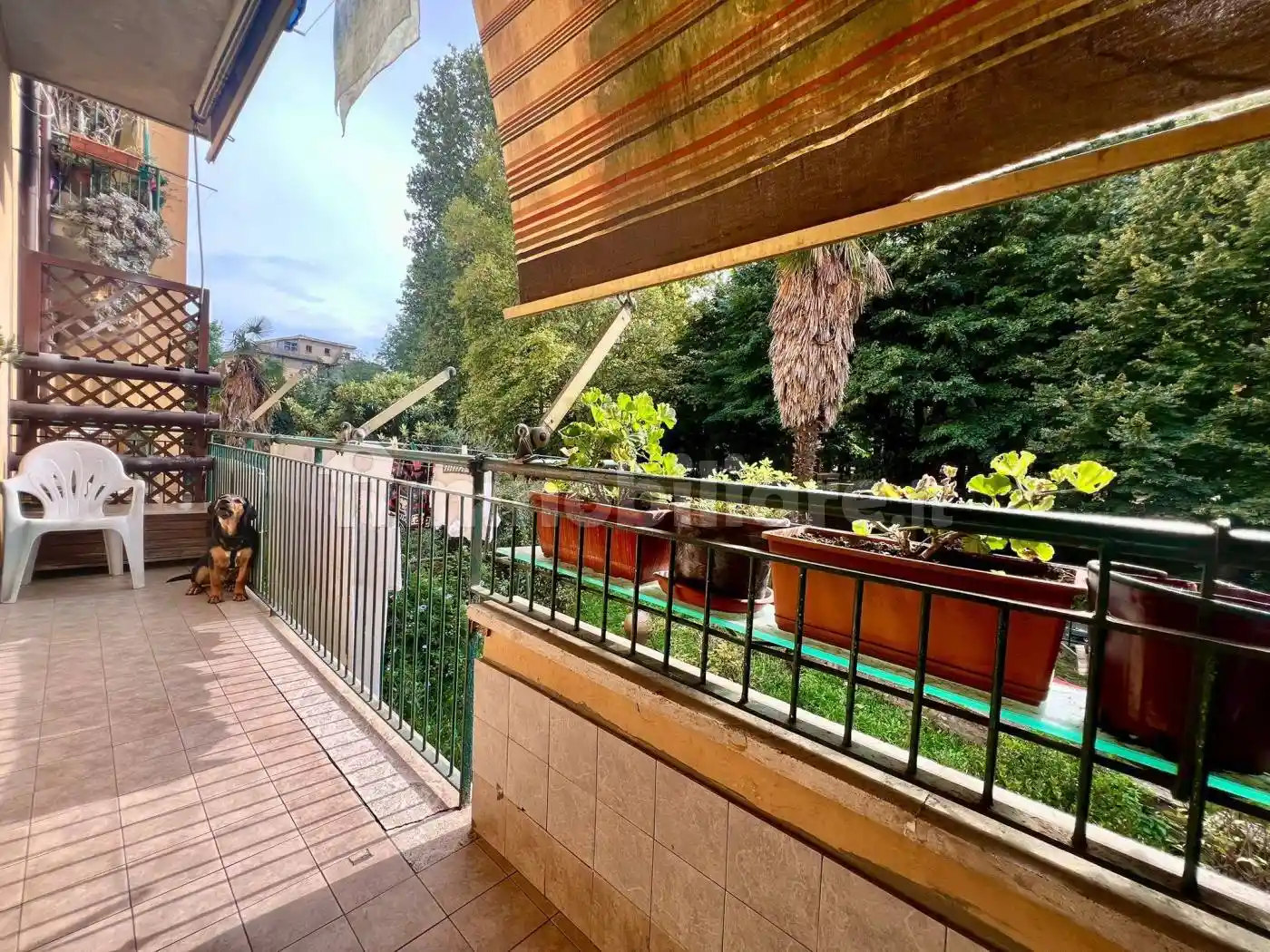 Appartamento in vendita a Ronciglione