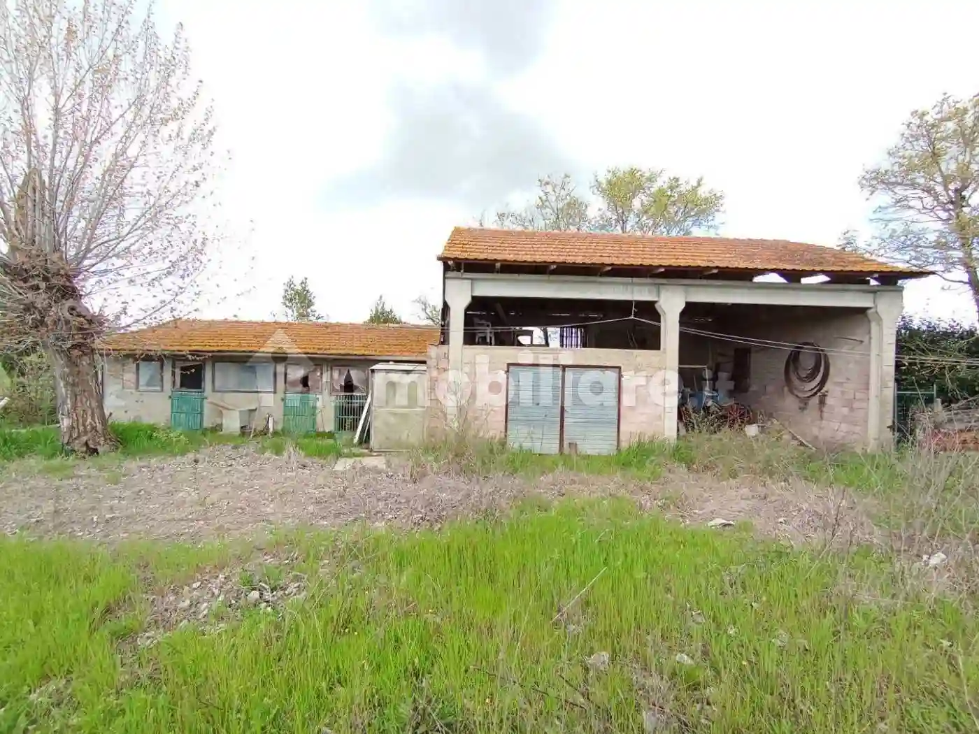 Rustico - Casale - foto 5