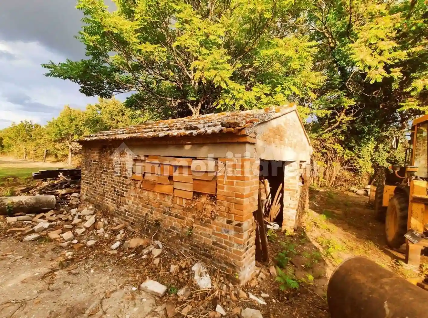 Rustico - Casale - foto 5