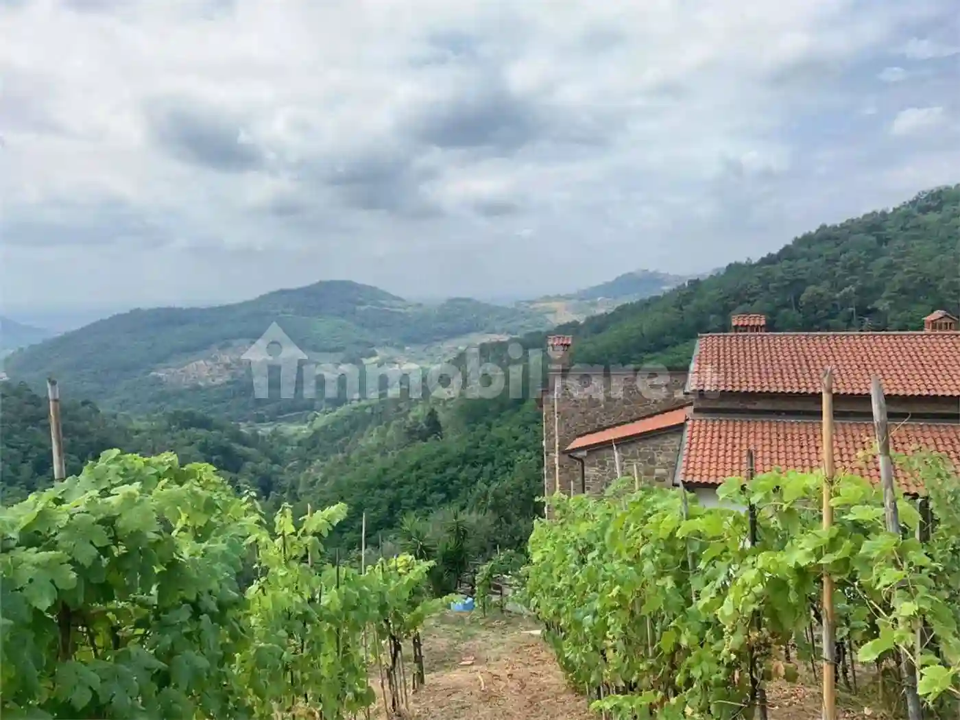 Rustico - Casale - foto 5