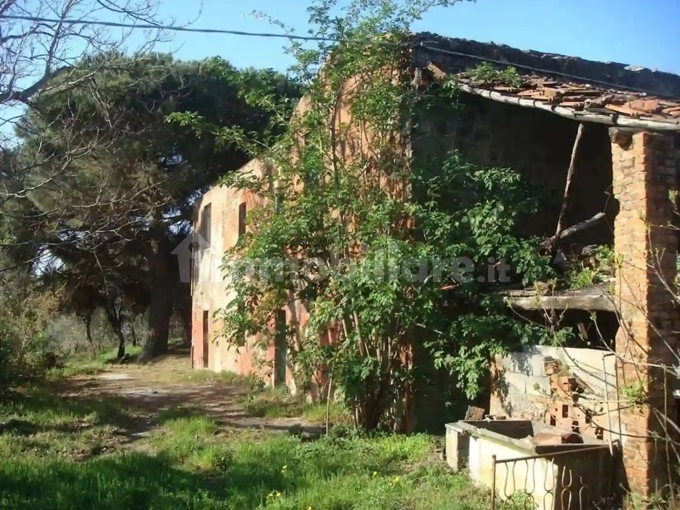 Rustico - Casale - foto 2