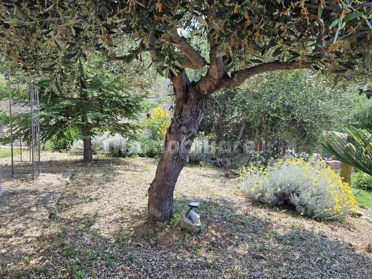 Villa unifamiliare San Pietro, Verezzo, Sanremo - foto 4