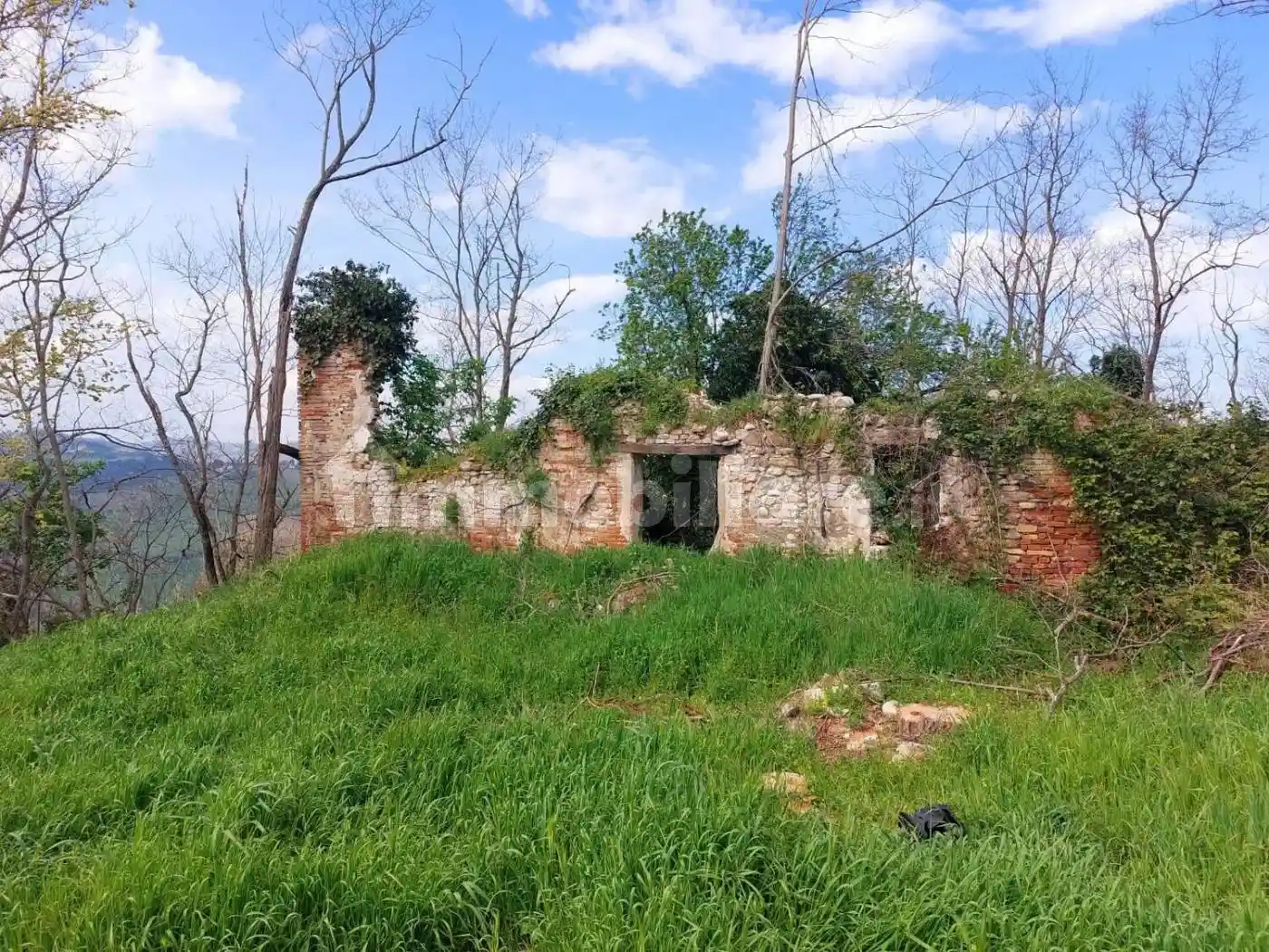 Rustico - Casale in vendita a Poggio Torriana