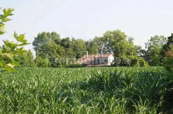 Casale, da ristrutturare, 500 m², Centro, Casalserugo - foto 3