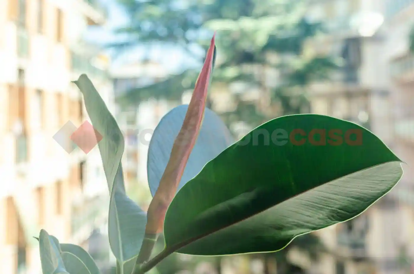 Trilocale via Marco Valerio Corvo, 156, Appio Claudio - Statuario, Roma - foto 4