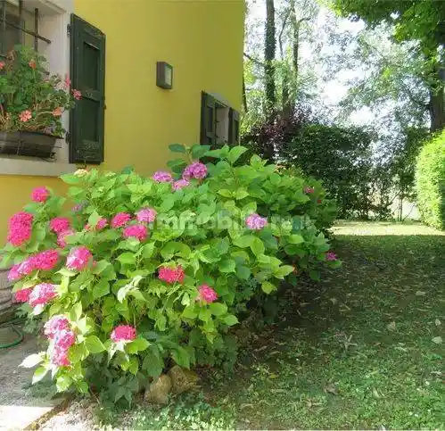 Rustico Strada Nuova Di Freto, Madonnina - Tre Olmi, Modena - foto 4