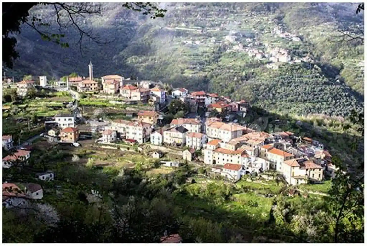 Cascina Urb. Leverone Borghetto D'Arroscia, Borghetto d'Arroscia - foto 2
