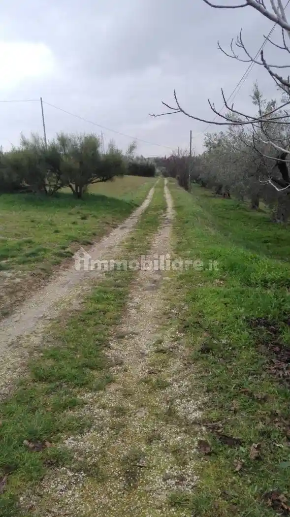 Villa bifamiliare via Colle Pizzuto 2, Centro, Giulianova - foto 5