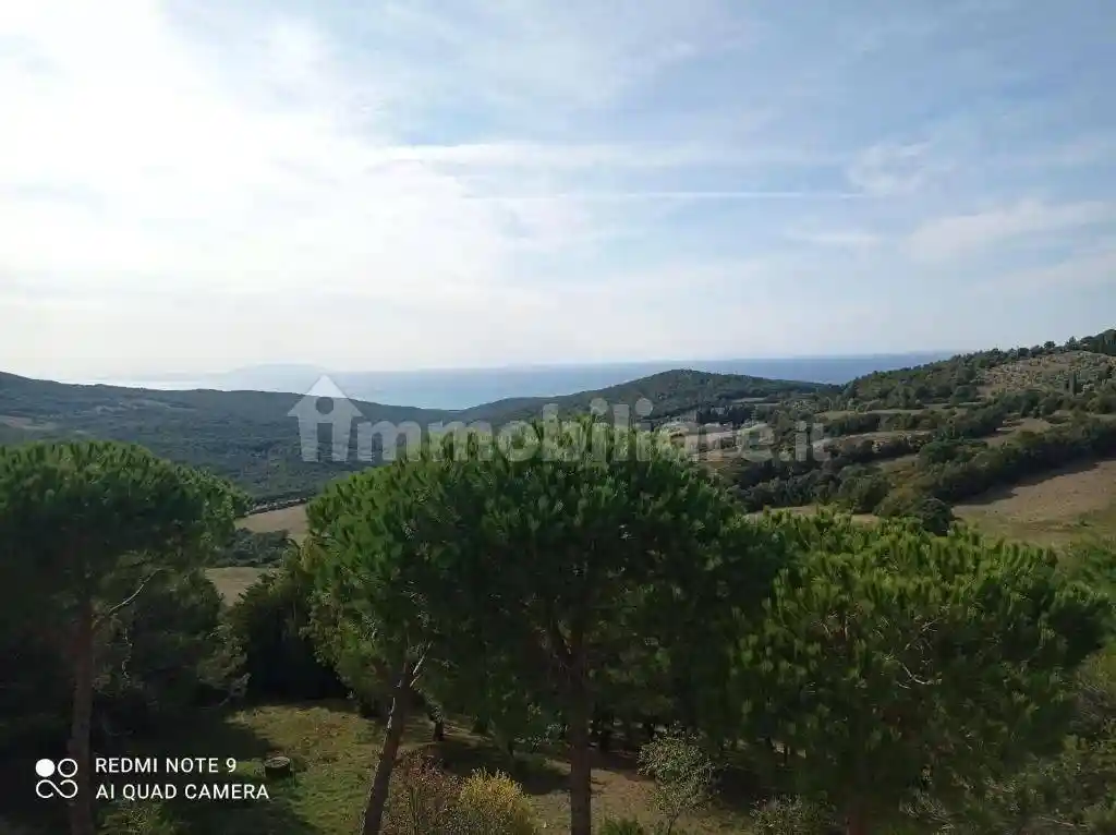 Appartamento in vendita a Rosignano Marittimo
