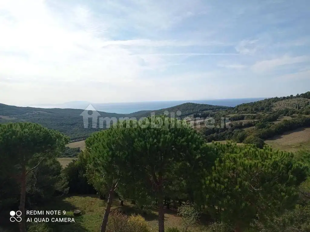 Appartamento in vendita a Rosignano Marittimo