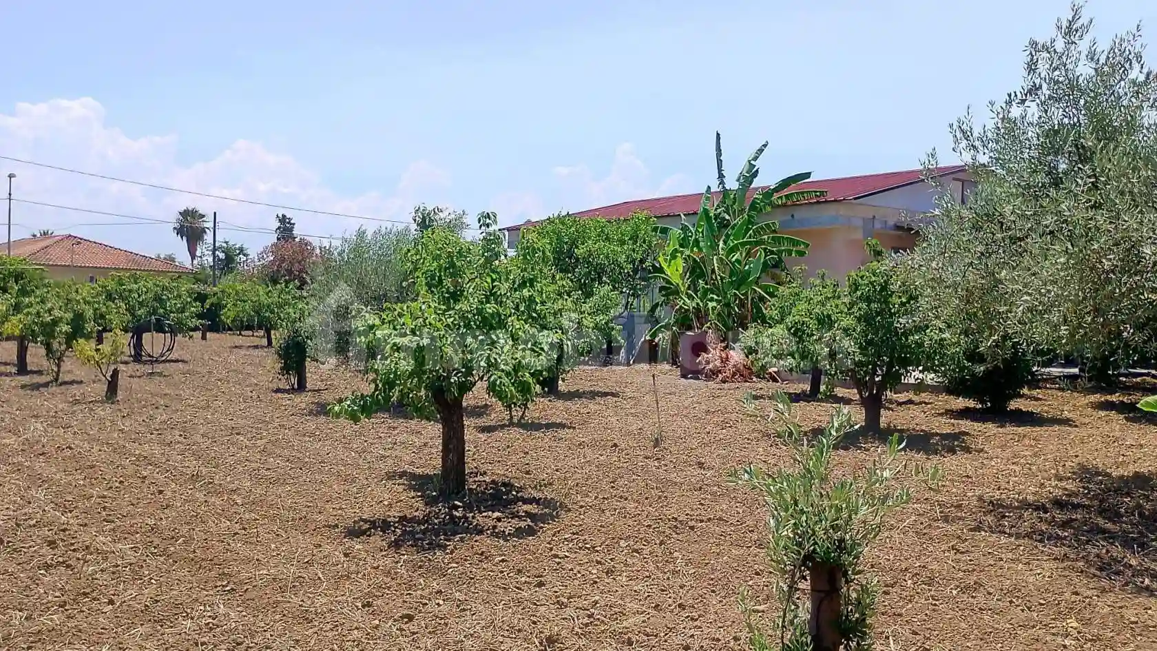 Villa unifamiliare via del Lillà 16, Vaccarizzo, Catania - foto 4