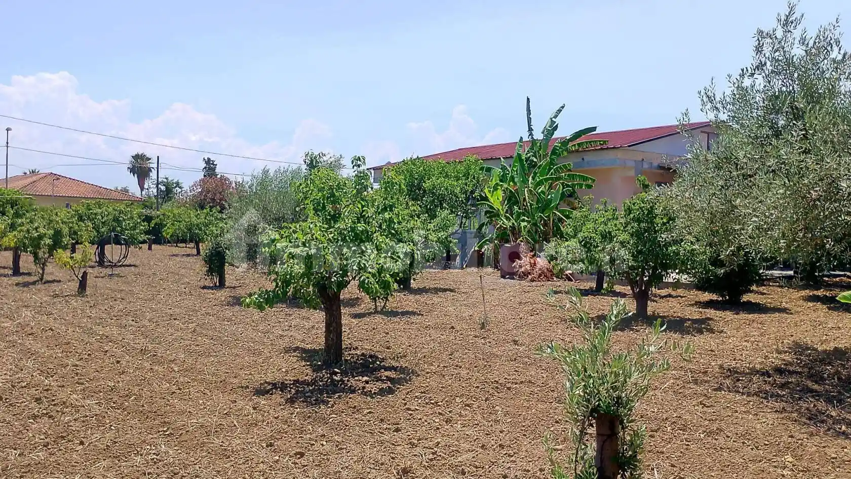 Villa unifamiliare via del Lillà 16, Vaccarizzo, Catania - foto 2