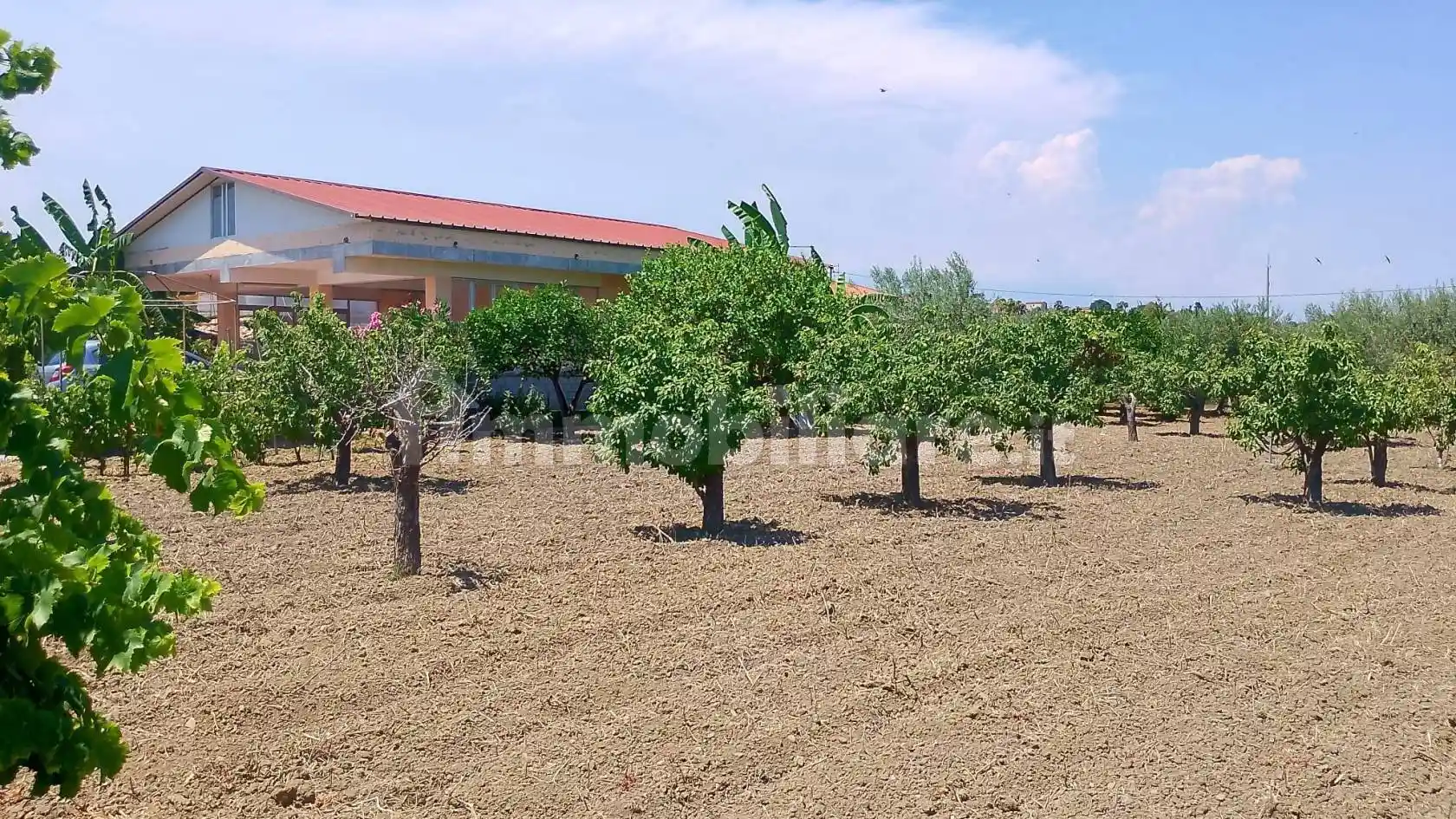 Villa unifamiliare via del Lillà 16, Vaccarizzo, Catania - foto 4