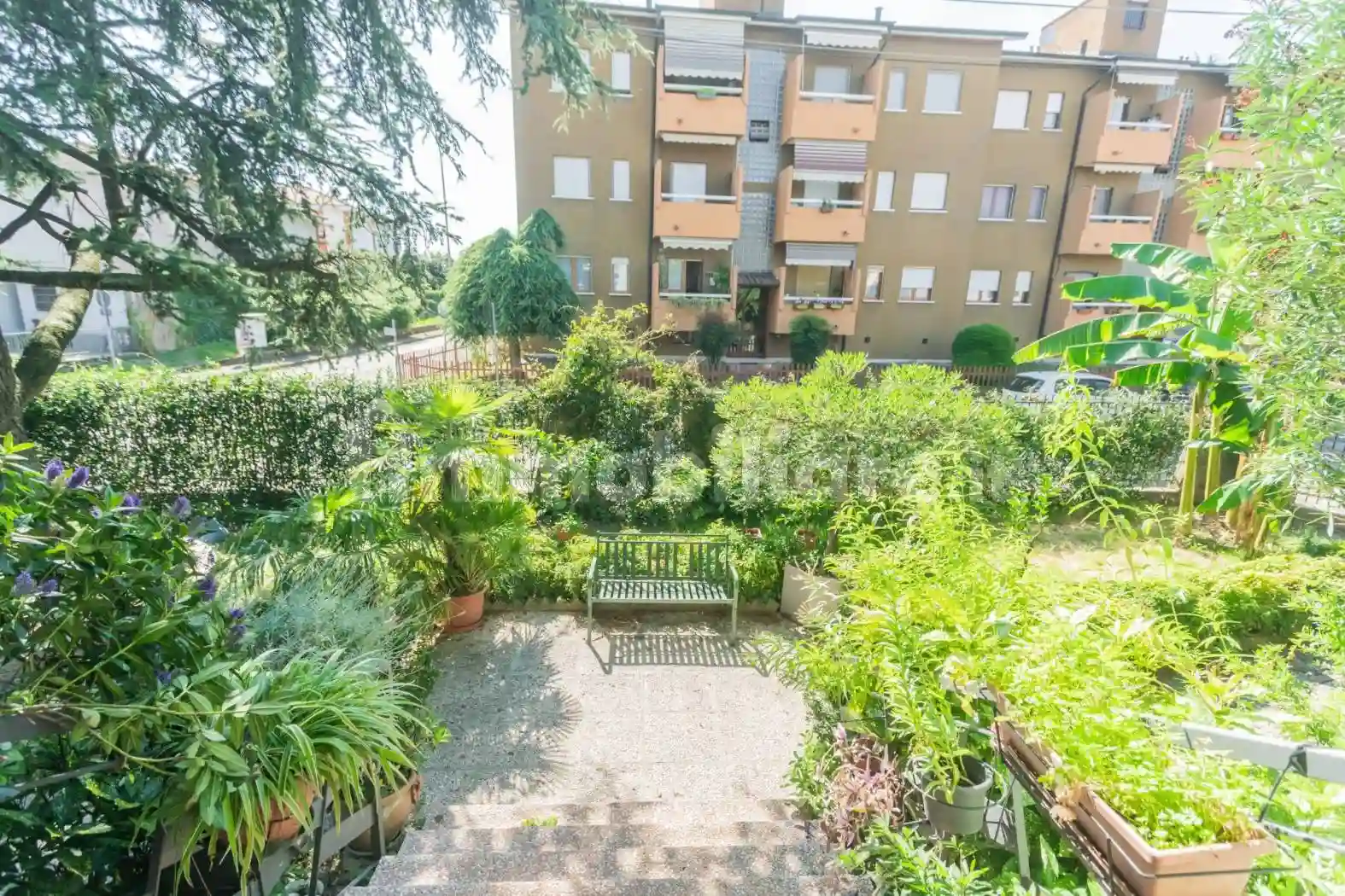 Palazzo - Edificio - foto 5