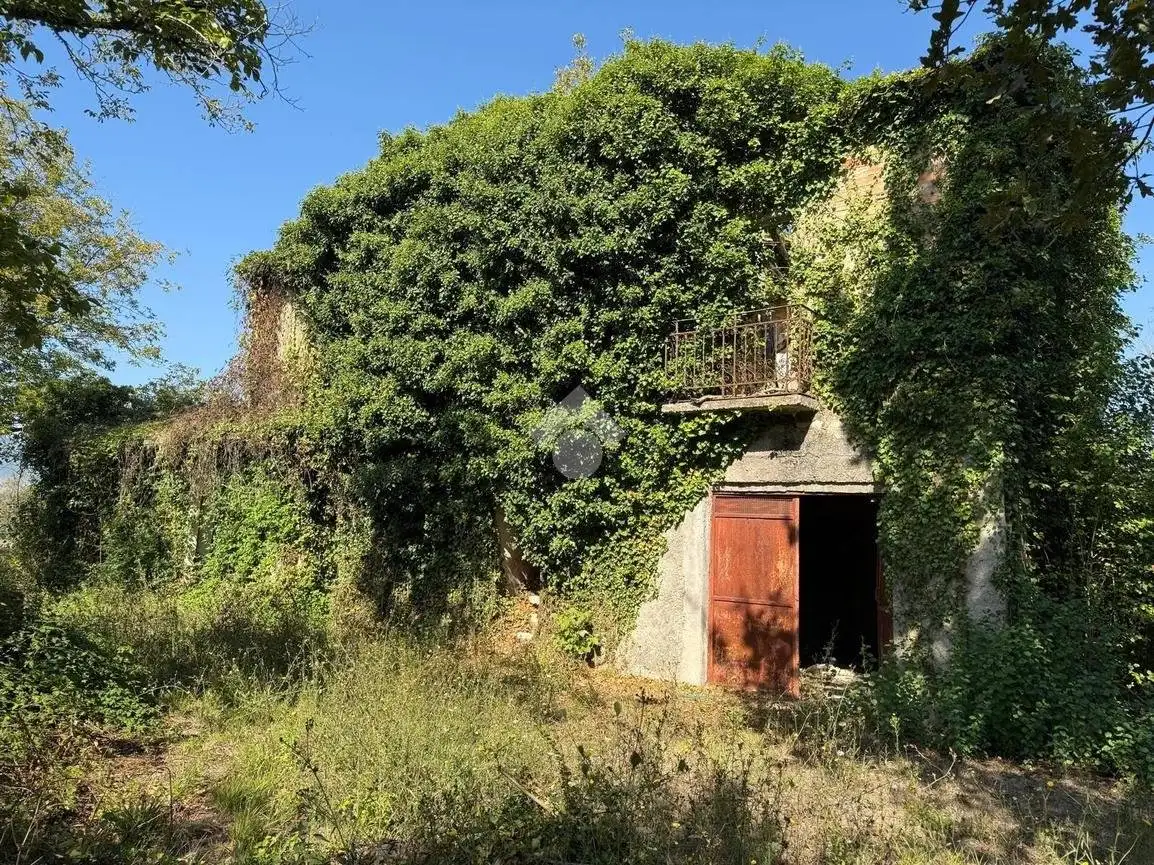 Casa indipendente in vendita a Pignataro Interamna
